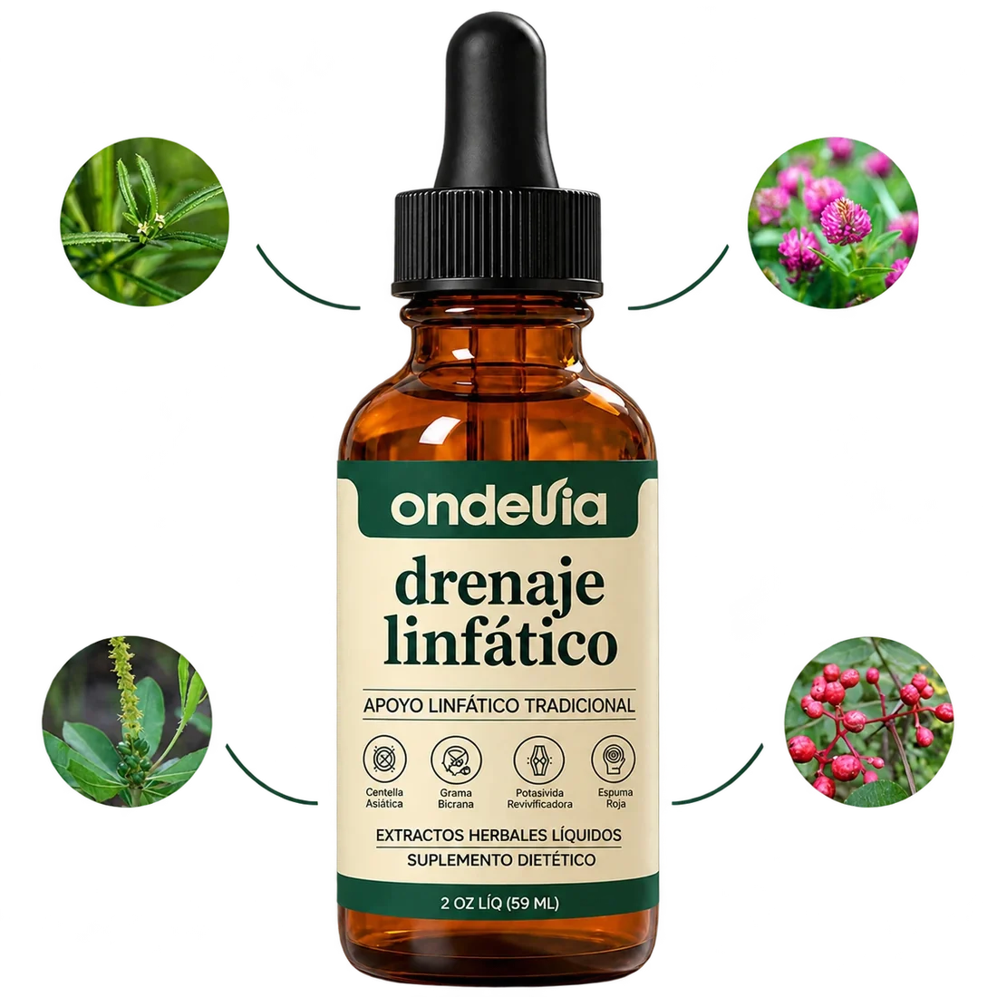 Hecho con ingredientes limpios de origen vegetal