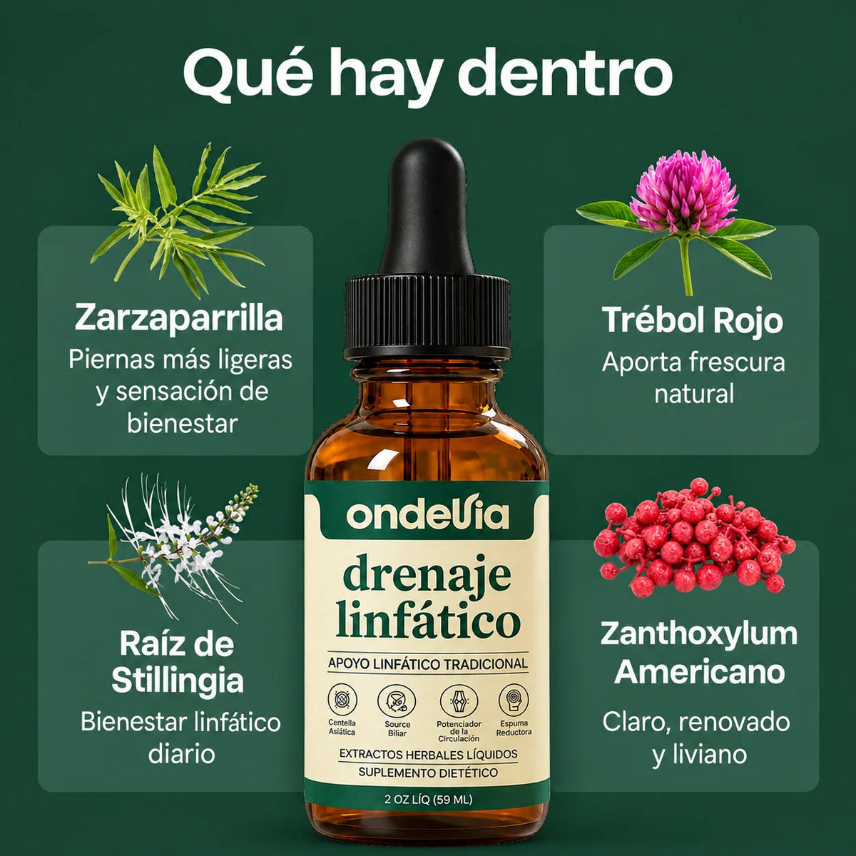 Qué hay dentro: zarzaparrilla, trébol rojo, raíz de stillingia y zanthoxylum americano